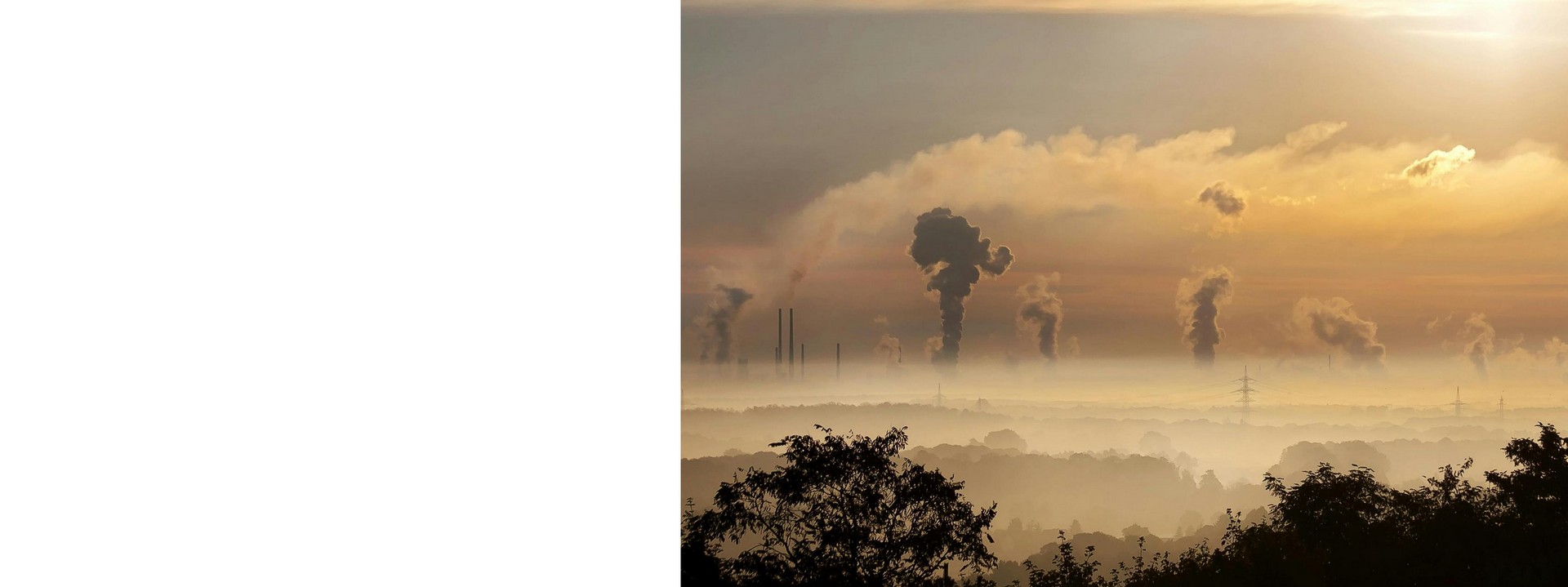 Carbon Footprint