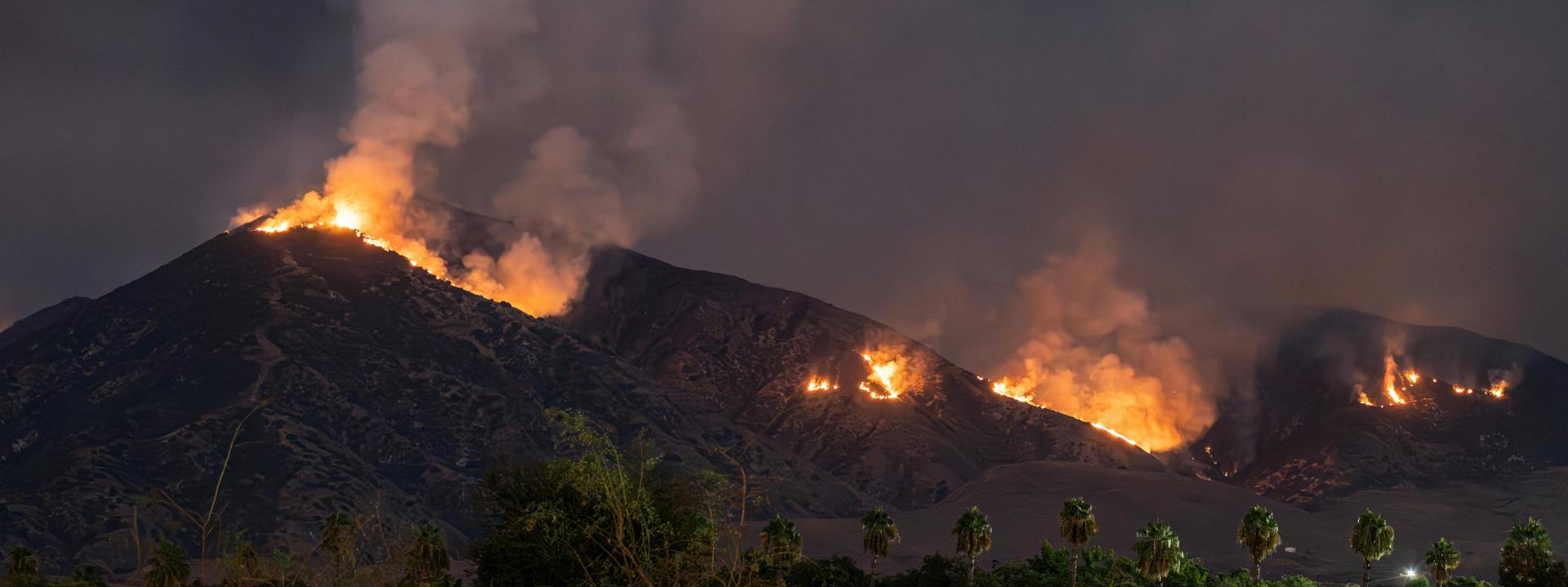 forest fire