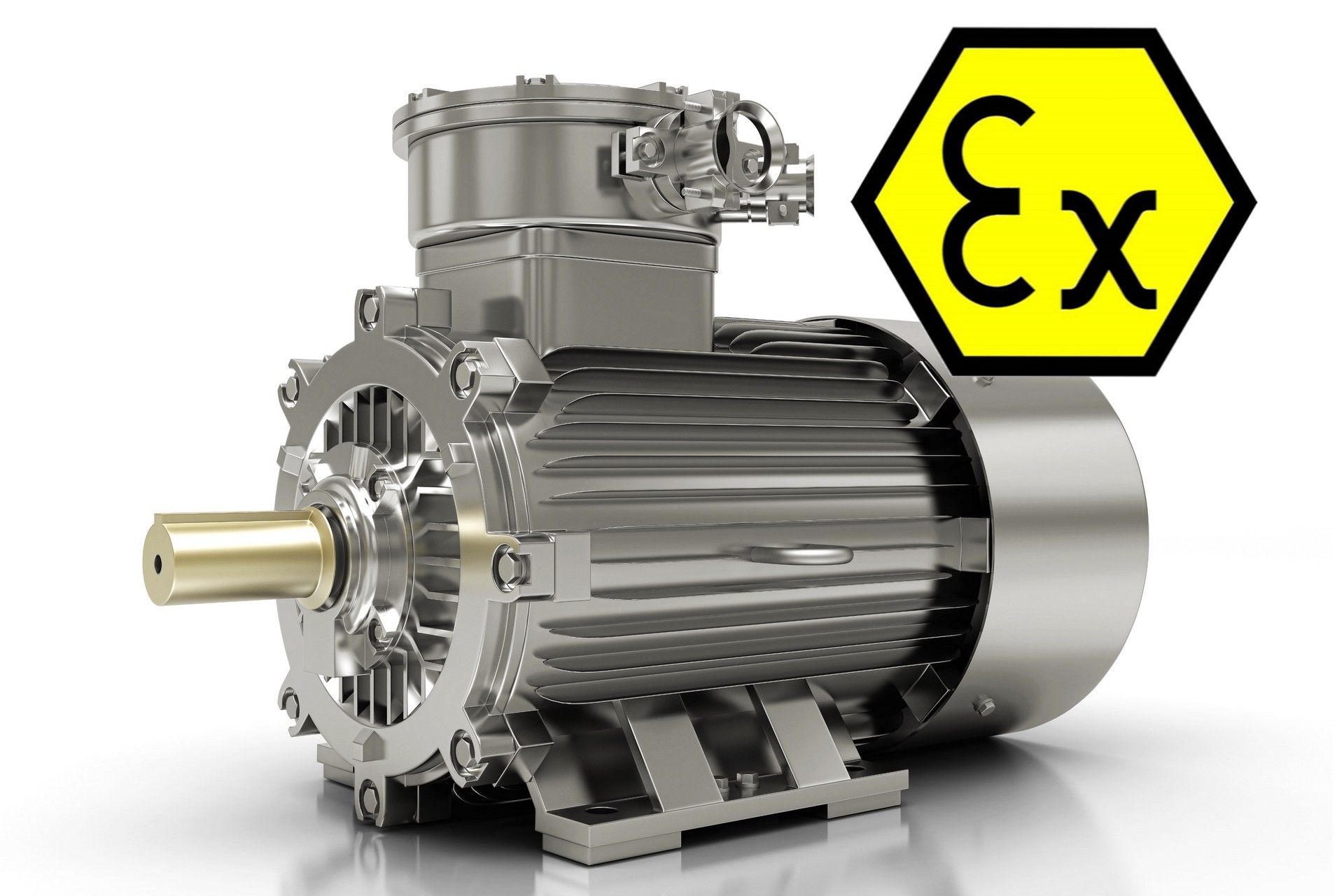 ATEX motor