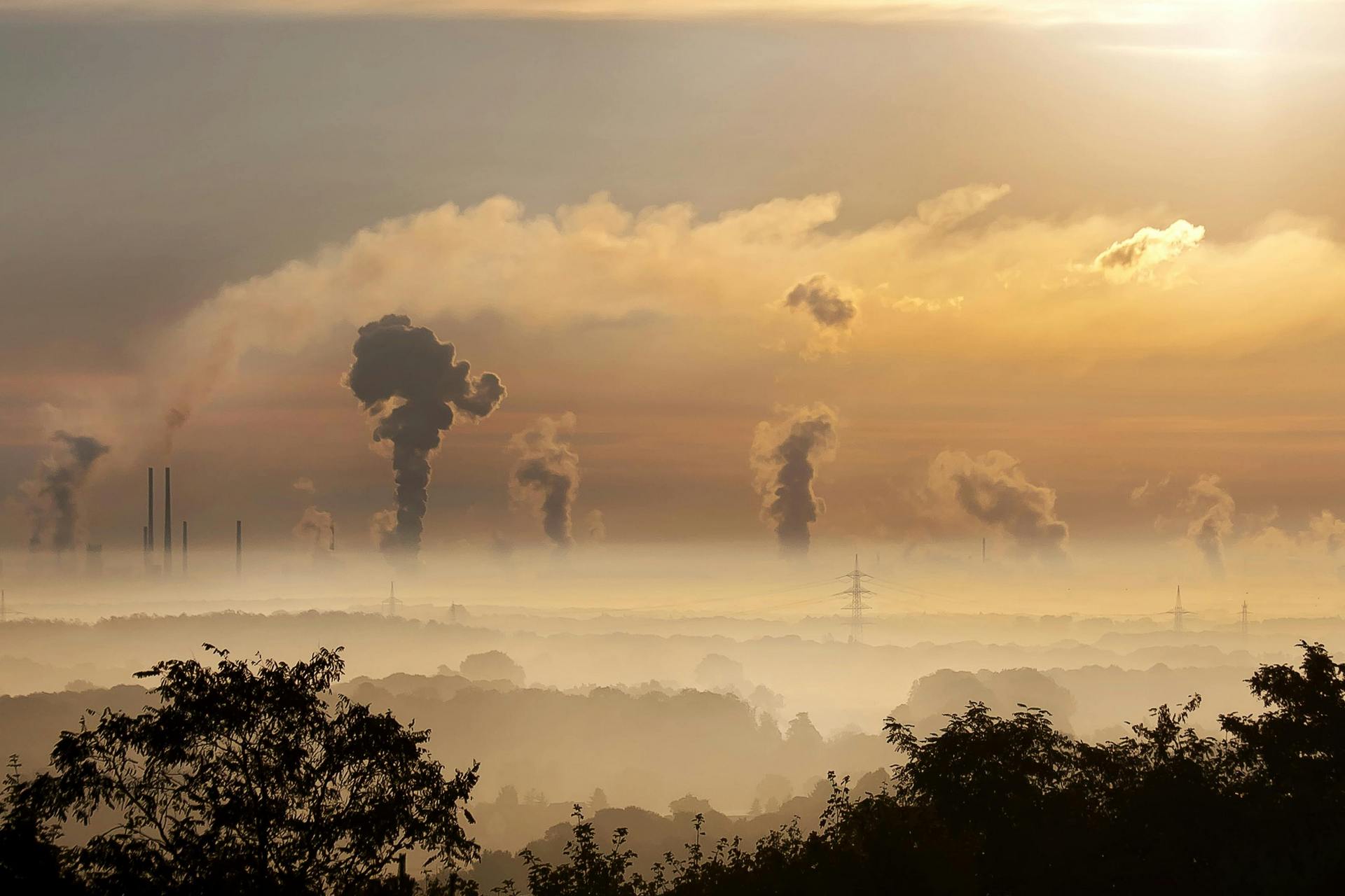 Carbon Footprint