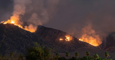 forest fire