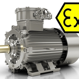 ATEX motor