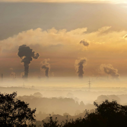 Carbon Footprint